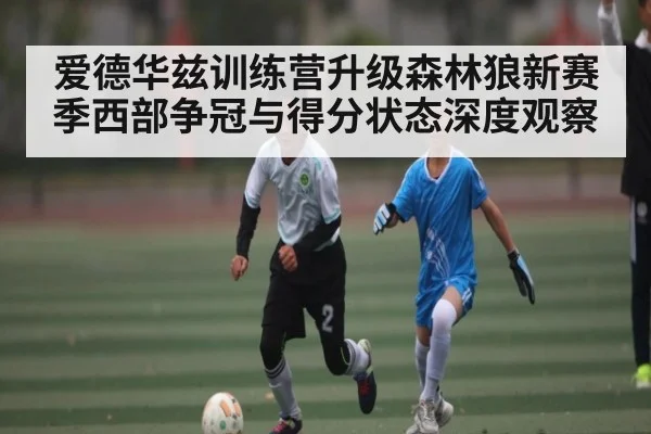 爱德华兹训练营升级森林狼新赛季西部争冠与得分状态深度观察